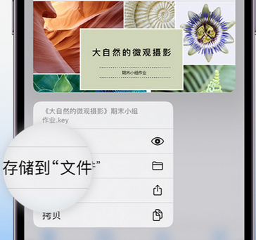 新龙apple维修中心分享iPhone文件应用中存储和找到下载文件