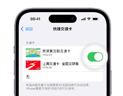 新龙apple维修点分享iPhone上更换Apple Pay快捷交通卡手绘卡面 