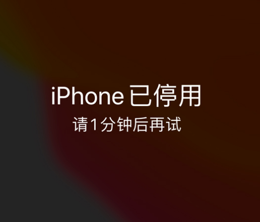 新龙苹果手机维修分享:iPhone 显示“不可用”或“已停用”怎么办？还能保留数据吗？ 