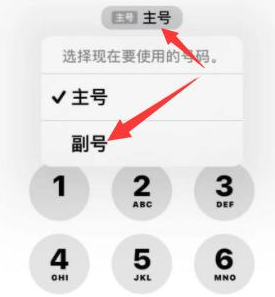 新龙苹果14维修店分享iPhone 14 Pro Max使用副卡打电话的方法 