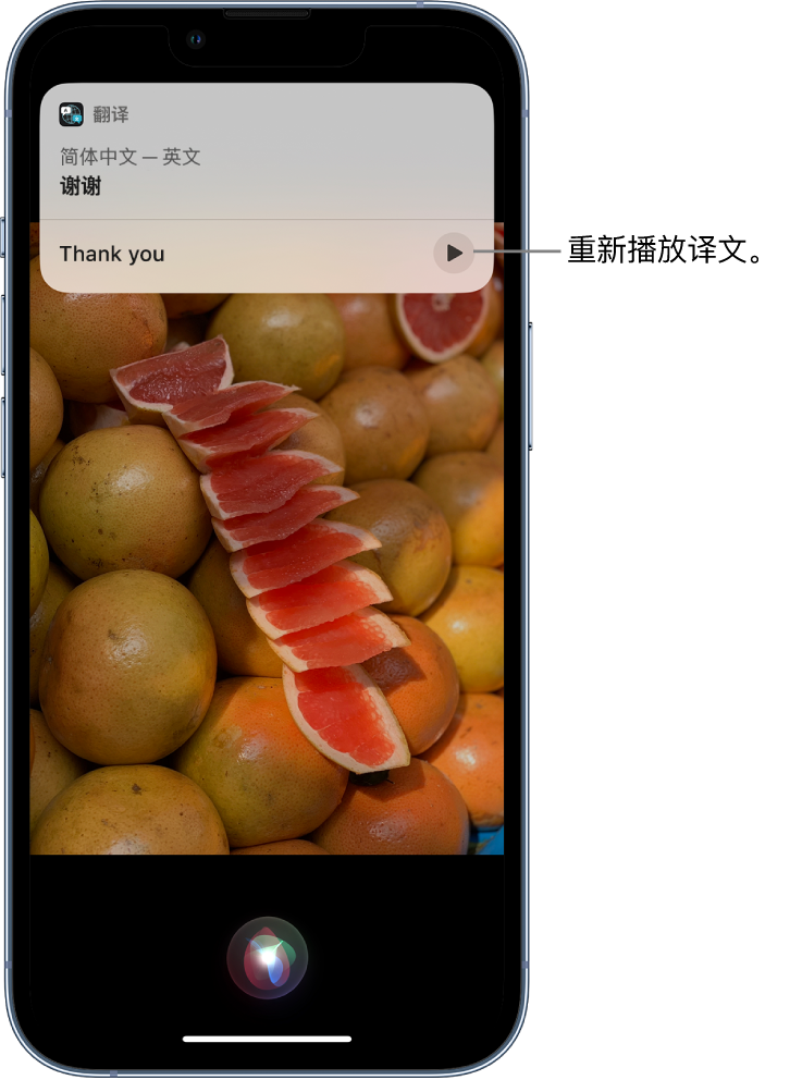 新龙苹果14维修分享 iPhone 14 机型中使用 Siri：了解 Siri 能帮你做什么 