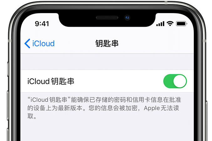 新龙苹果手机维修分享在 iPhone 上开启 iCloud 钥匙串之后会储存哪些信息 