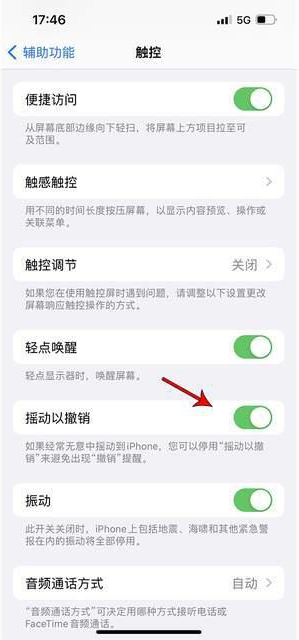 新龙苹果手机维修分享iPhone手机如何设置摇一摇删除文字 